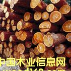 �c���鿴FB-1�Ŵ�DƬ