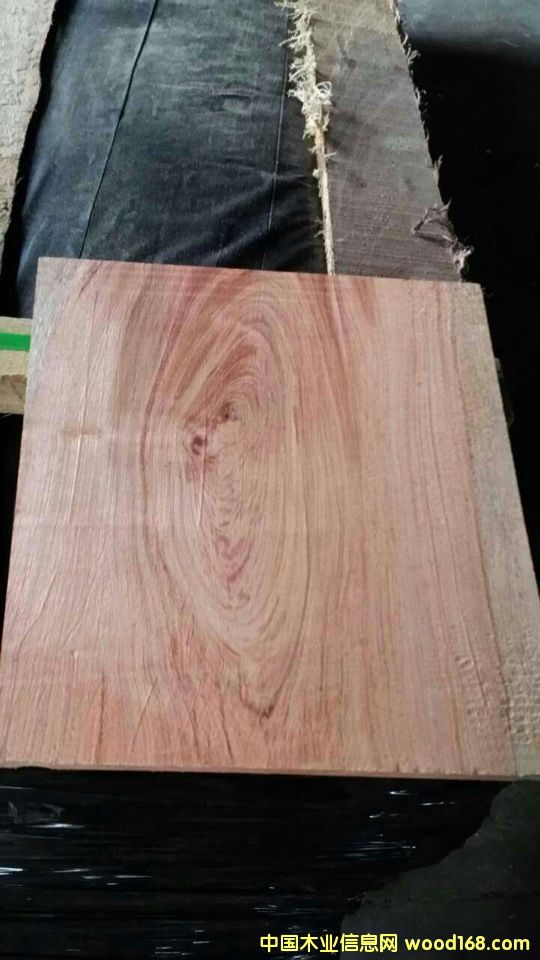 �c���鿴�������棨�Z�аͣ��Ŵ�DƬ