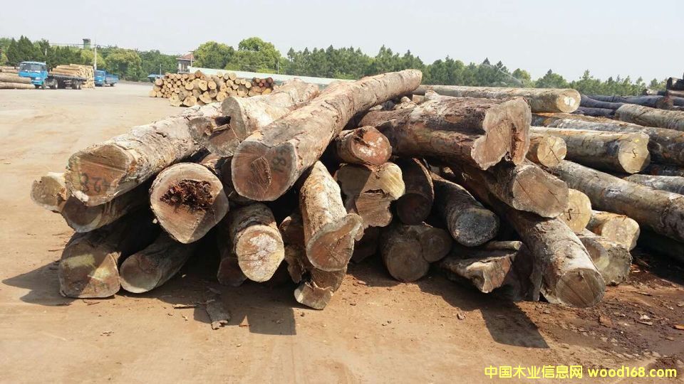 �c���鿴�������棨�Z�аͣ��Ŵ�DƬ