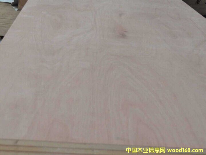 �Ҿ߼�(j��)���ö��Ӱ��Ԕ��(x��)��B