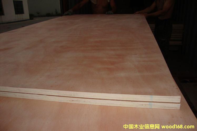 �Ҿ߰�ĵ�Ԕ����B