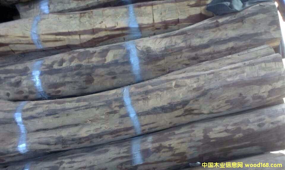 �c���鿴�ϓ�t��֦�Ŵ�DƬ