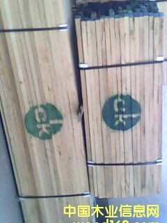 �������t������ľ������ľ���ں���ľ������S��ȵ�Ԕ����B