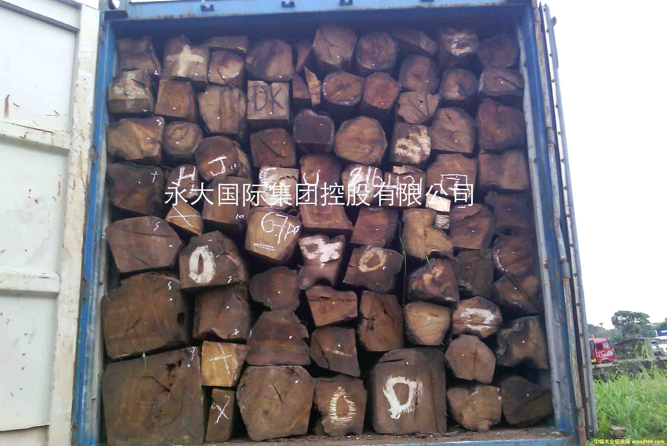 �������� - �����S����/�����̴/���ށ�����KOSSO��Ԕ��(x��)��B