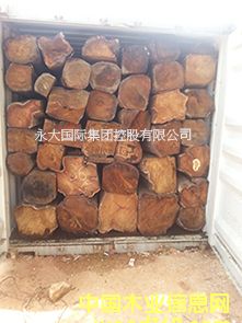 �ȽB-�����S����/�����̴/���ށ����� KOSSO��Ԕ��(x��)��B