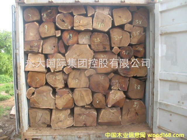 �Ӽ{ - �����S����/�����̴/���ށ����� KOSSO��Ԕ��(x��)��B