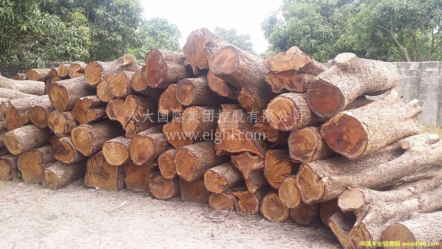 ���ȁ�-���ށ�����/�S����/���S/�����̴/��Ԕ��(x��)��B