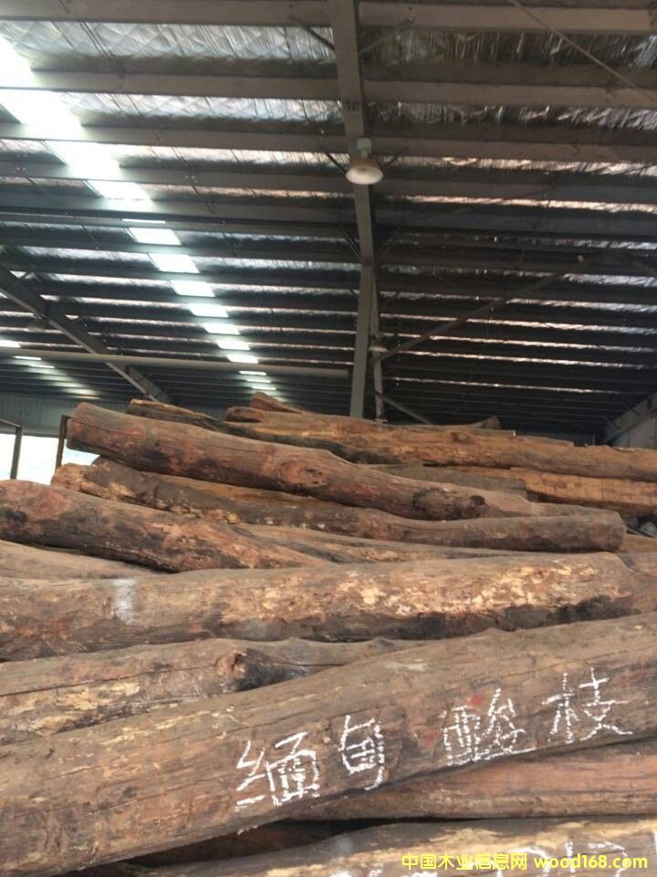 ������֦��Ԕ����B