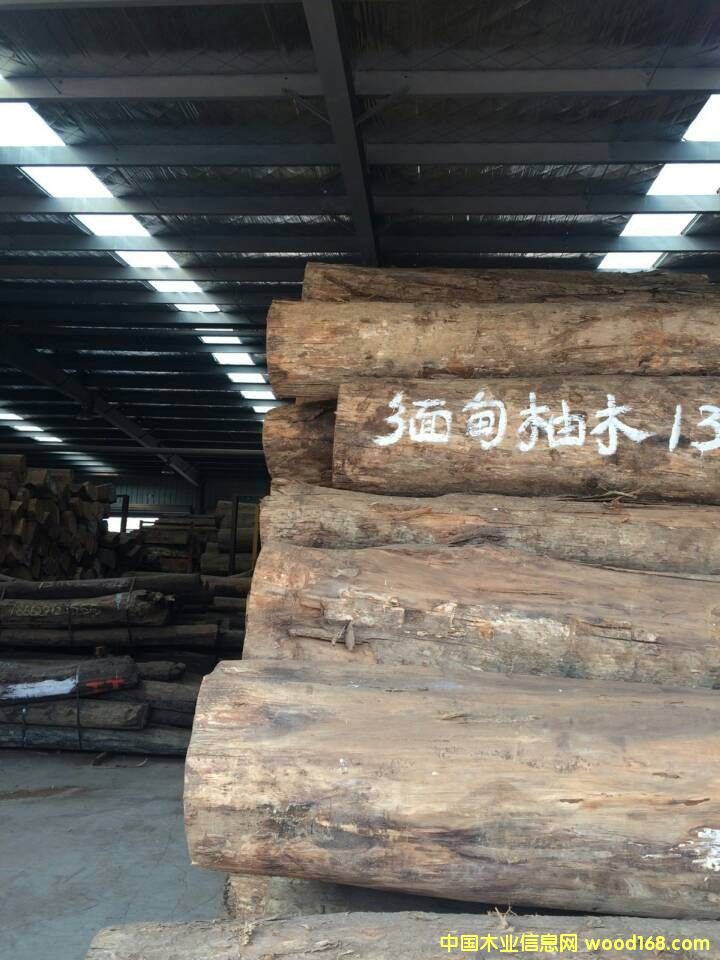 ������ľ��Ԕ����B