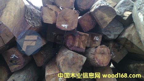 ����������S��������̴��Ԕ����B