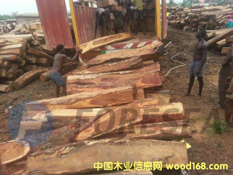 ����������S��������̴��Ԕ����B