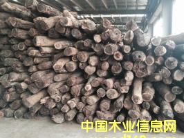 Ѫ̴��Ԕ����B