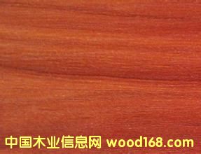 ���B�屳��