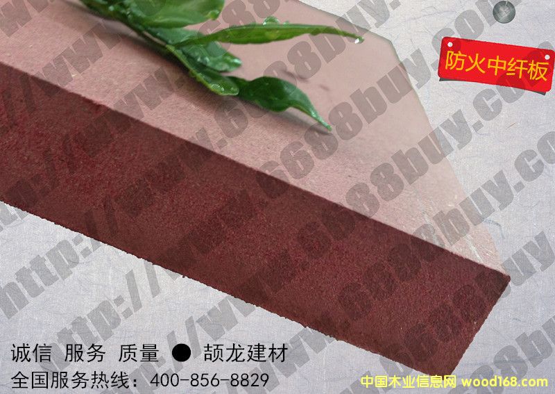 [��] �R������ ���l�������w�� 12mm B1-C