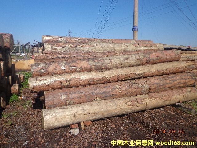 ���ɰ�ĵ�Ԕ����B