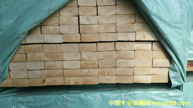 ��ɼ��ĵ�Ԕ��(x��)��B