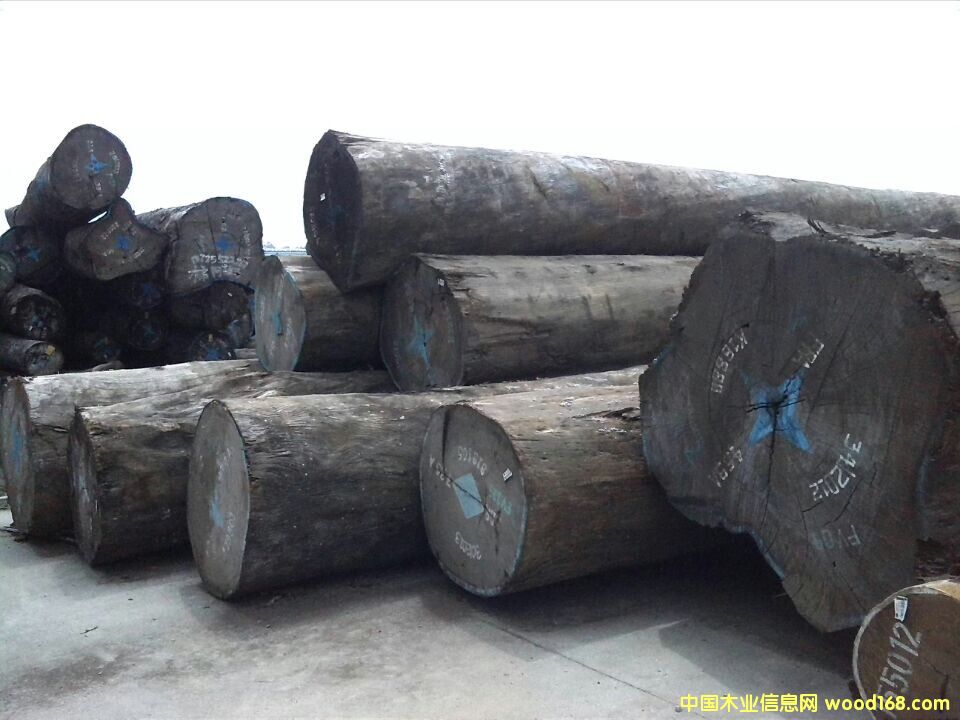 ��������ľ����Ԕ����B