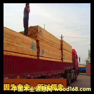 �c���鿴�����m���|ݗ���ɷŴ�DƬ