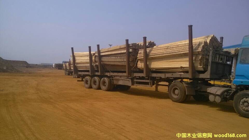 ��ľ��Ԕ����B