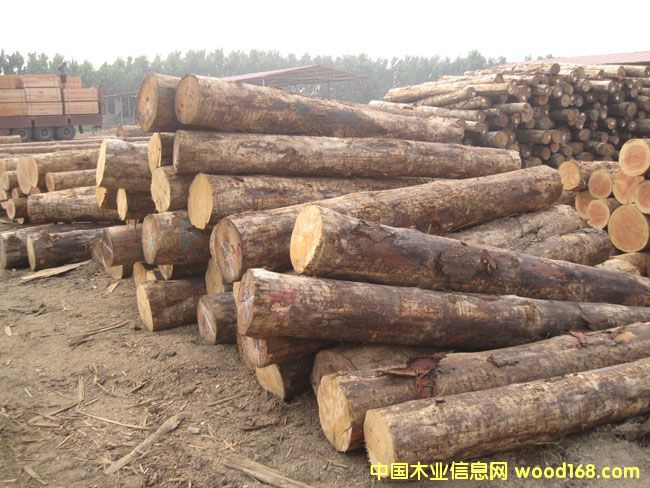 ���ɵ�Ԕ����B