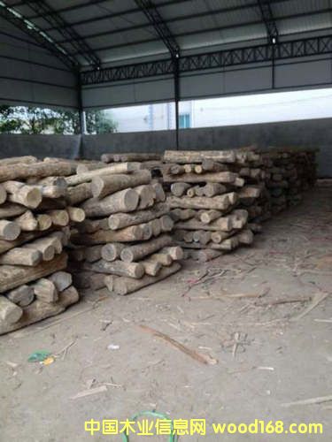 �S��ľ��Ԕ����B