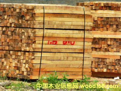 ��ľ��Ԕ����B