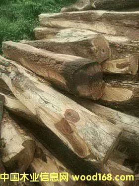 ���ށ������Ԕ����B