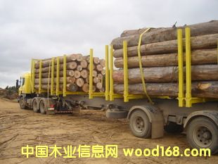 �c���鿴��������֦�c���޵���֦�ǂ��M�ڷ���һЩ�M�ڈ��P�����Ŵ�DƬ