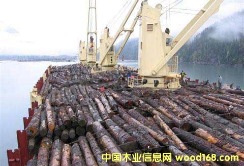 �c���鿴�Ϻ�������H�M���ڴ�������(w��)��˾�������P(gu��n)ͨ�P(gu��n)�I(y��)��(w��)��Ԕ��(x��)�Y��