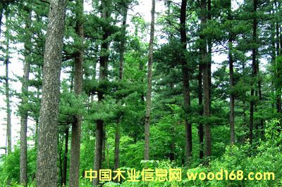 �c���鿴ֱ�ӏ������M�ڙ���ľ���Ϻ����@�̙z��Ҫ��Щ�Ŵ�DƬ