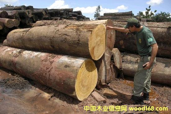 �c���鿴�M�ڼҾߵ���Ҫע�������Ϻ��C�����P(gu��n)�е�Ԕ��(x��)�Y��