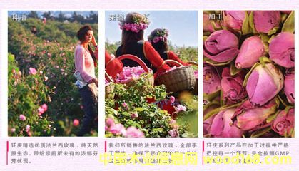 �c���鿴�M���r����Ҫ��Щ���C���P(gu��n)����ô��ȡ�Ϻ��C�����P(gu��n)��Ԕ��(x��)�Y��