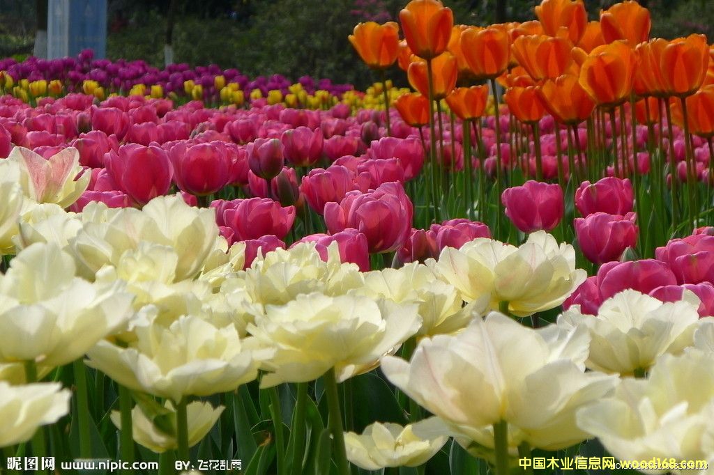 �c���鿴��Щ����ֲ������Ҫ�M�ڵ��Ϻ��C�����P(gu��n)�е�Ԕ��(x��)�Y��