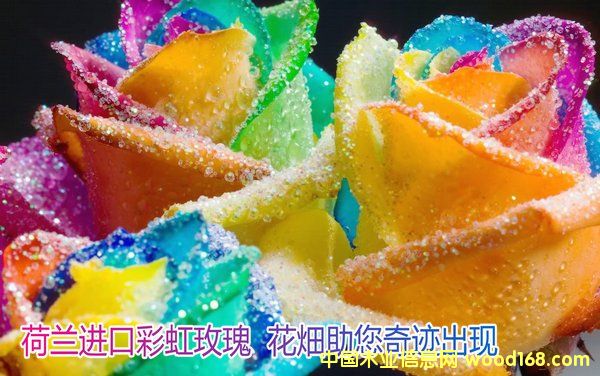 �c���鿴�Ϻ�������H�M���ڈ��P(gu��n)������˾�Ϻ��C���󻨻܈��P(gu��n)������Ԕ��(x��)�Y��