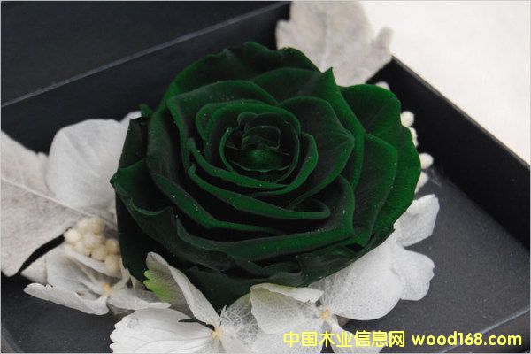 �c���鿴�����M�ڈ��P(gu��n)��Ҫ��Щ���C���Y���Ϻ��C�����P(gu��n)�е�Ԕ��(x��)�Y��