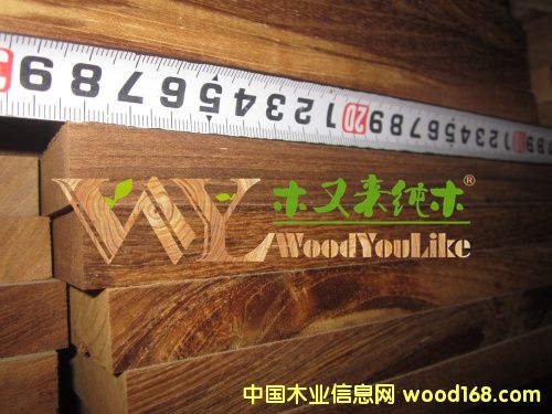 ľ�ց���ľ��ľ�����ذ��Ԕ����B