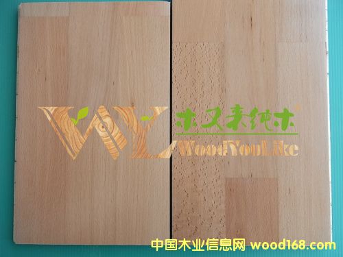 ľ�ց��ľ��ľ�ذ�