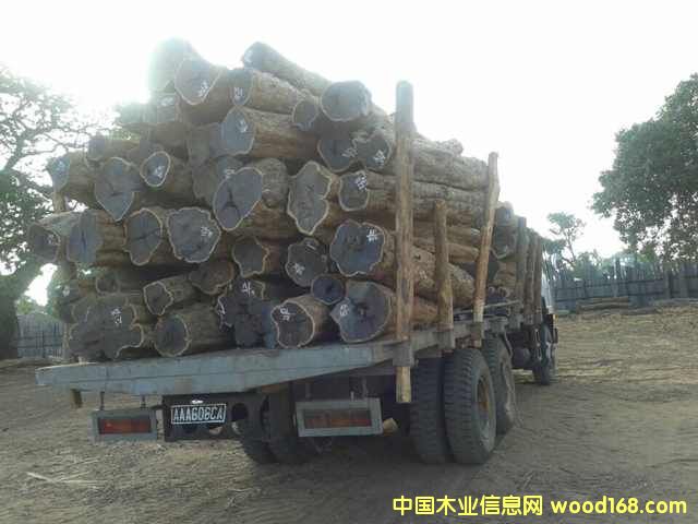 �Ϲ�̴���|�Ǻ��S̴����ľ��Ԕ��(x��)��B