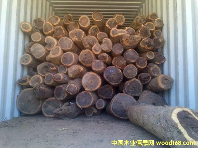 ٝ�ȁ�Ѫ̴��Ԕ��(x��)��B