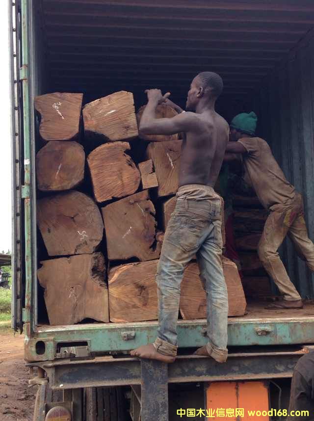 �Ӽ{�������Ԕ��(x��)��B