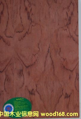 �N����Ԕ����B