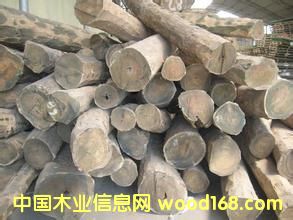 �c���鿴�M�� �G̴ ԭľ�Ŵ�DƬ