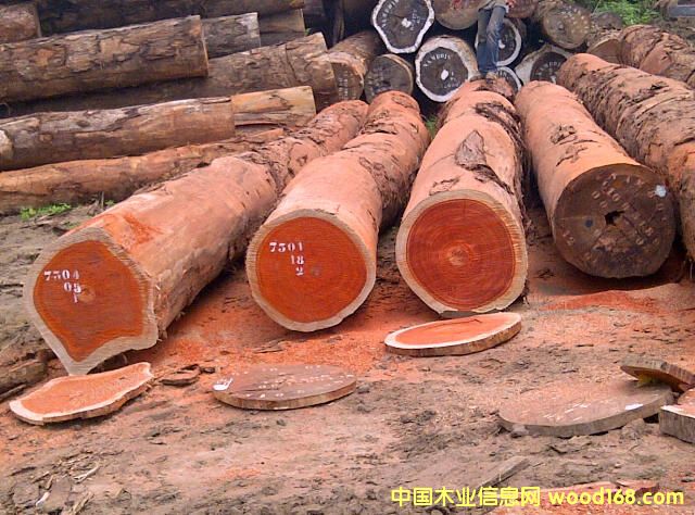 ������̴��Ԕ����B