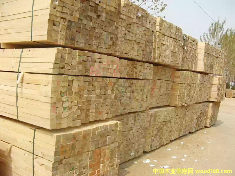 ��ľľ����Ԕ����B