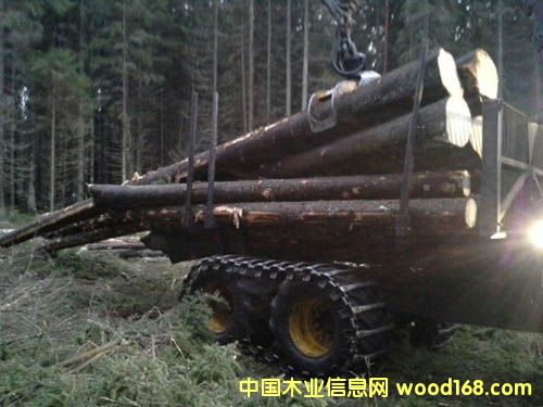 ��ľ��Ԕ����B