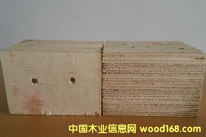 ����ľ�бP��ȫɰ����z�ϰ����Ӱ��_�յ�Ԕ����B