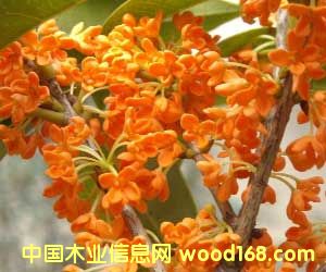 �c���鿴��������Ŵ�DƬ