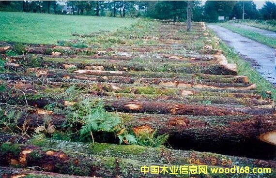 �t���Ԕ����B