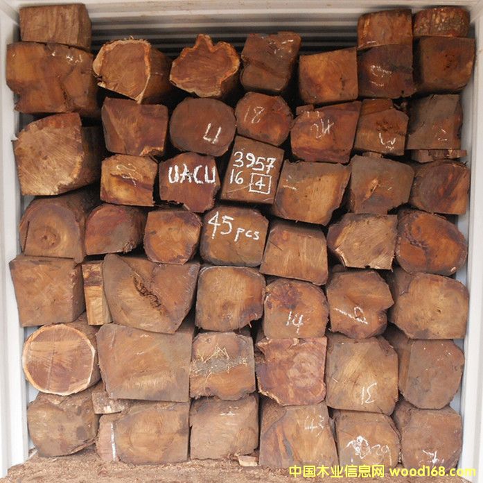 һ�ֹ����̷��ށ����棨�����̴��