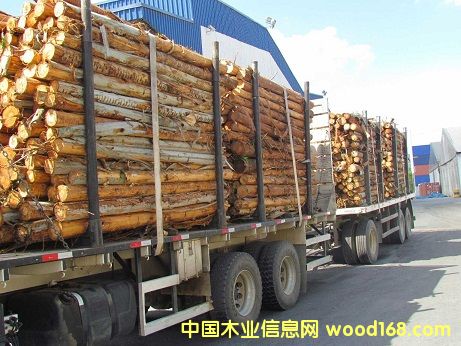 �M����䣨�����ޣ�